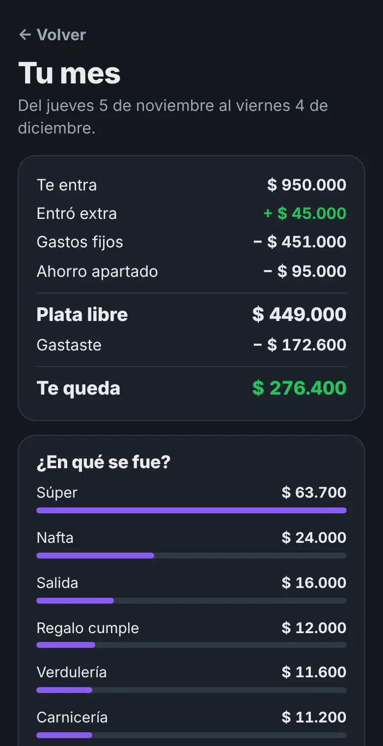 Resumen del mes y en qué se fue la plata
